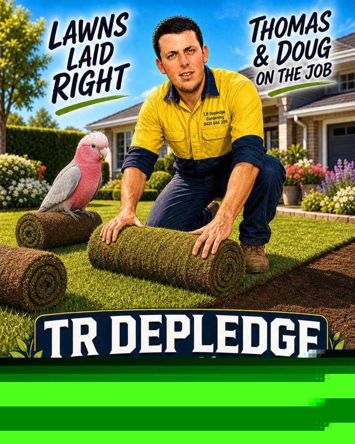 Hedge Trimming