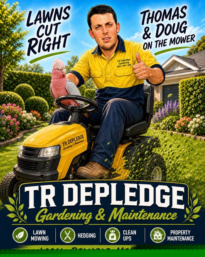 Mowing & Maintenance
